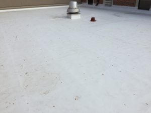 Thermoplastic Roof