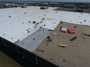 Roof Safety